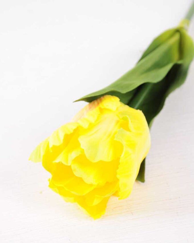 8*58cm Single tulip GS-3770002-Y1