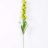11*98cm Single Convallaria GS-3770004-G1