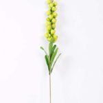 11*98cm Single Convallaria GS-3770004-G1