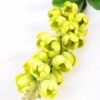 11*98cm Single Convallaria GS-3770004-G1