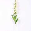 11*98cm Single Convallaria GS-3770004-W1 1 11*98cm Single Convallaria GS-3770004-W1