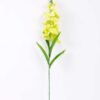 20*91cm Single Tuberose GS-3770005-G1