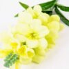 20*91cm Single Tuberose GS-3770005-G1