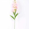 20*91cm Single Tuberose GS-3770005-P1