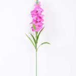 20*91cm Single Tuberose GS-3770005-R1