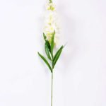 20*91cm Single Tuberose GS-3770005-W1