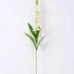 18*92cm Single Orchid GS-3770006-W1