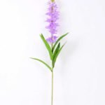 18*92cm Single Orchid GS-3770006-Z1