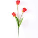 10*96cm tulip*3 GS-3770007-O1