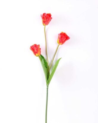 10*96cm tulip*3 GS-3770007-O1