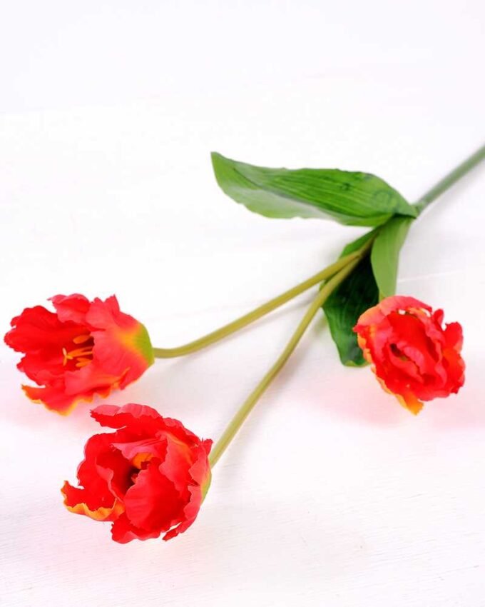 10*96cm tulip*3 GS-3770007-O1 2 10*96cm tulip*3 GS-3770007-O1