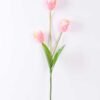 10*96cm tulip*3 GS-3770007-P1