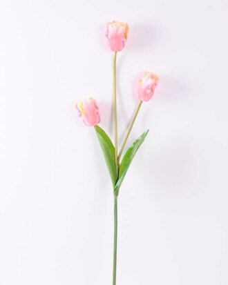 10*96cm tulip*3 GS-3770007-P1