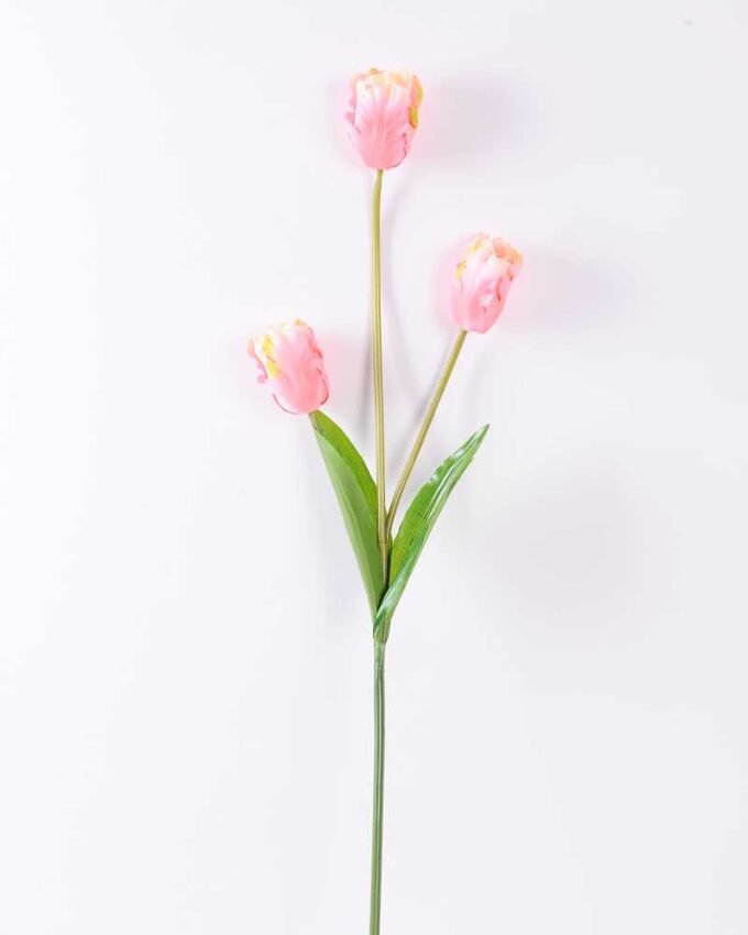 10*96cm tulip*3 GS-3770007-P1