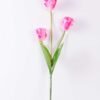 10*96cm tulip*3 GS-3770007-P2