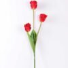 10*96cm tulip*3 GS-3770007-R1