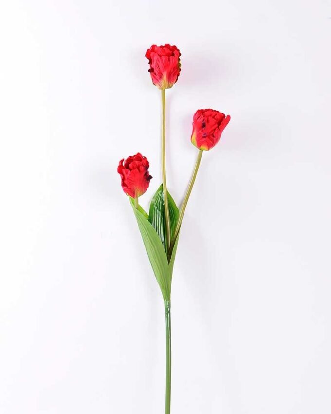 10*96cm tulip*3 GS-3770007-R1