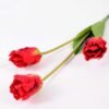 10*96cm tulip*3 GS-3770007-R1