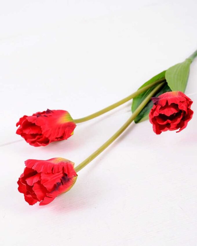 10*96cm tulip*3 GS-3770007-R1