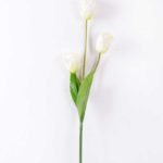 10*96cm tulip*3 GS-3770007-W1