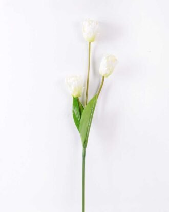 10*96cm tulip*3 GS-3770007-W1