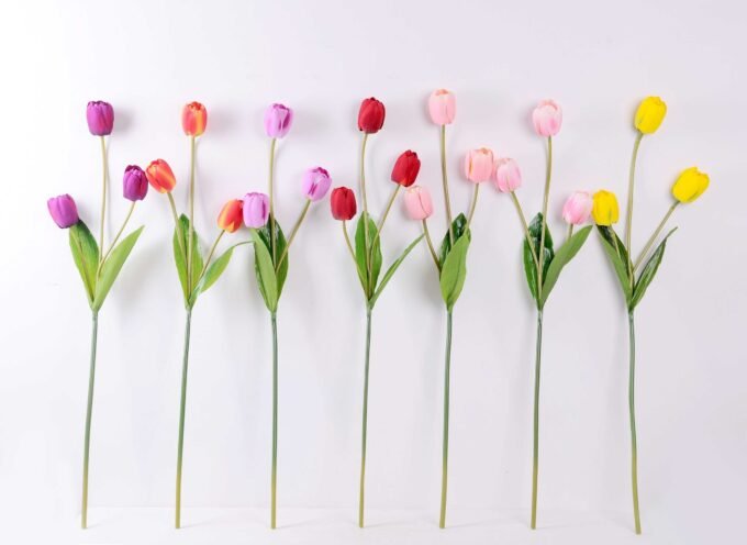 10*96cm tulip*3 GS-3770008-O1 3 10*96cm tulip*3 GS-3770008-O1