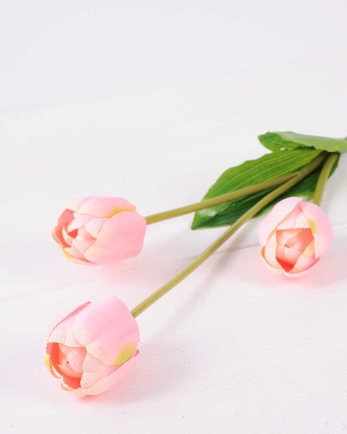 10*96cm tulip*3 GS-3770008-P2