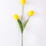 10*96cm tulip*3 GS-3770008-Y1