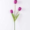 10*96cm tulip*3 GS-3770008-Z1