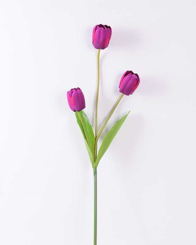 10*96cm tulip*3 GS-3770008-Z1