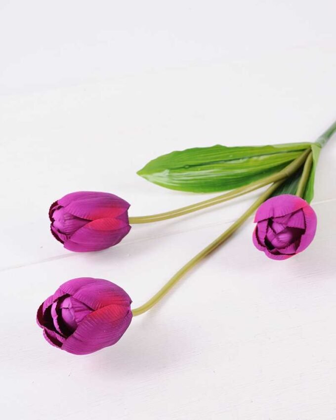 10*96cm tulip*3 GS-3770008-Z1