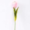 10*57cm Single tulip GS-3770009-P1