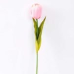 10*57cm Single tulip GS-3770009-P1