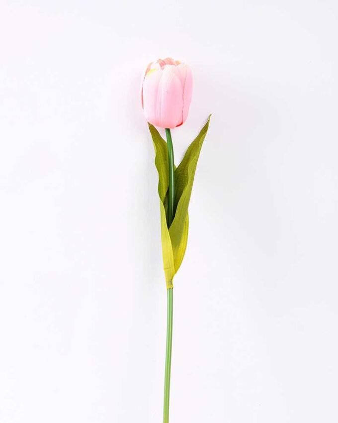 10*57cm Single tulip GS-3770009-P1