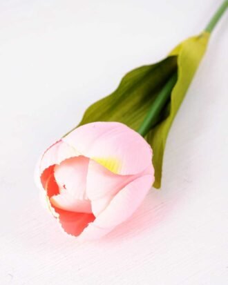 10*57cm Single tulip GS-3770009-P1