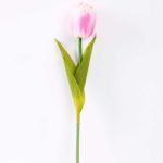 10*57cm Single tulip GS-3770009-P2