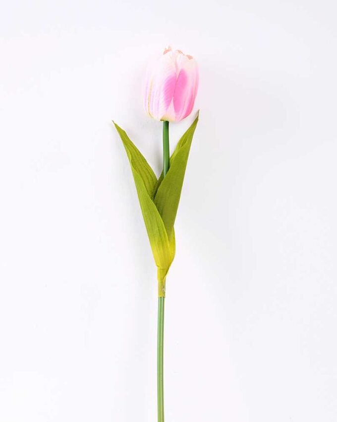 10*57cm Single tulip GS-3770009-P2 1 10*57cm Single tulip GS-3770009-P2