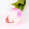 10*57cm Single tulip GS-3770009-P2 2 10*57cm Single tulip GS-3770009-P2
