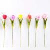 10*57cm Single tulip GS-3770009-P2 3 10*57cm Single tulip GS-3770009-P2