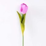 10*57cm Single tulip GS-3770009-R1