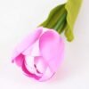 10*57cm Single tulip GS-3770009-R1 2 10*57cm Single tulip GS-3770009-R1