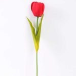 10*57cm Single tulip GS-3770009-R2