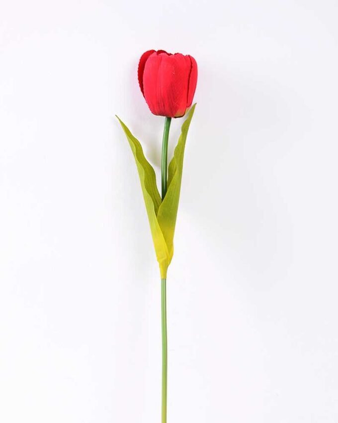 10*57cm Single tulip GS-3770009-R2