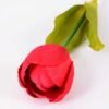10*57cm Single tulip GS-3770009-R2