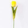 10*57cm Single tulip GS-3770009-Y1