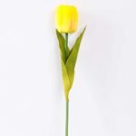 10*57cm Single tulip GS-3770009-Y1