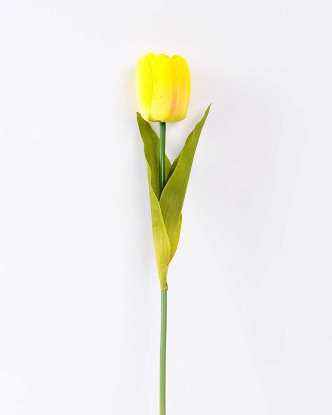 10*57cm Single tulip GS-3770009-Y1