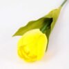 10*57cm Single tulip GS-3770009-Y1