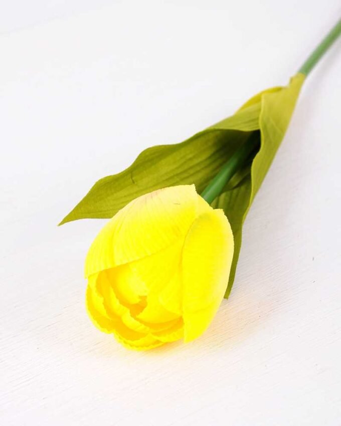 10*57cm Single tulip GS-3770009-Y1