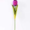 10*57cm Single tulip GS-3770009-Z1